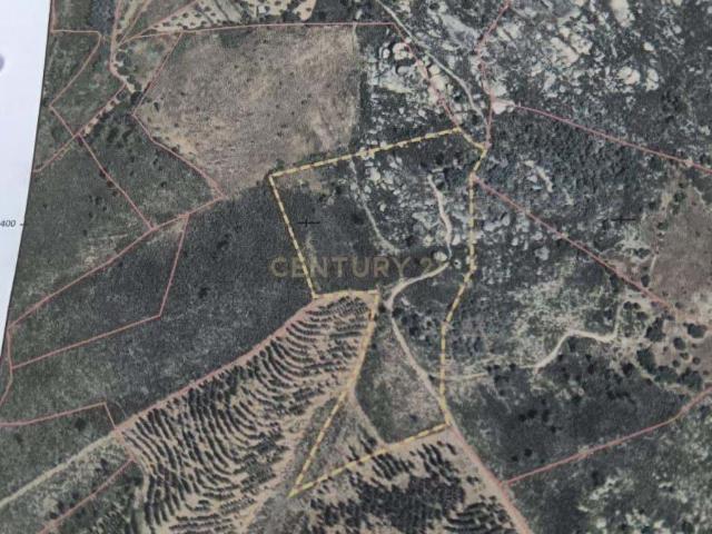 Terreno Rústico com 17200 m2 em Palvarinho, Castelo Branco