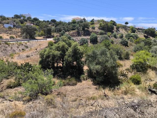 TERRENO RUSTICO COM 17.120 M2 ACESSO POR ASFALTO EM PEDRA ARRANCADA ALTURA CASTRO MARIM ALGARVE