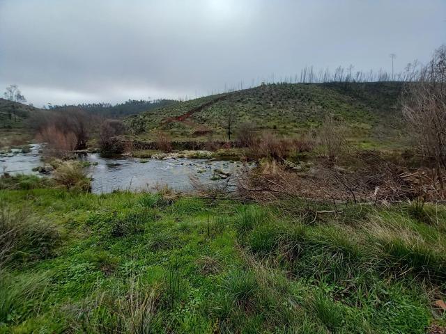 Terreno Rustico com 10000m2 Sobrainho da Ribeira