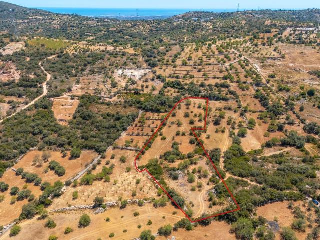Terreno Rústico com 10280m2, localizado no Serro de Manuel Viegas, Azinheiro