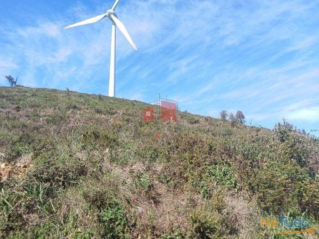 Terreno rustico com 10687m2 denominado por cabeço de Montemuro | 26084073635