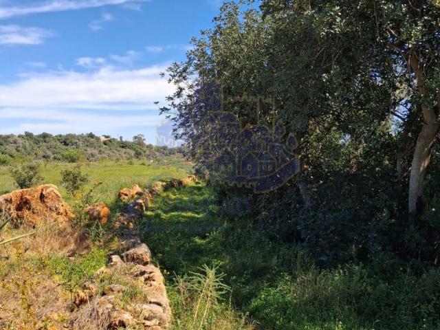 Terreno Rústico com 10720 localizado nos Montes Grandes Silves