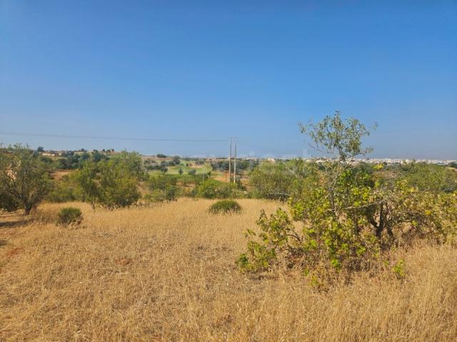 Terreno Rústico com 10.000 m² em Estômbar, Lagoa Algarve