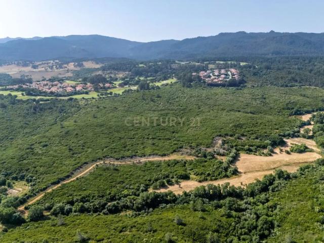 Terreno Rústico com 1120 m2 em Alcabideche