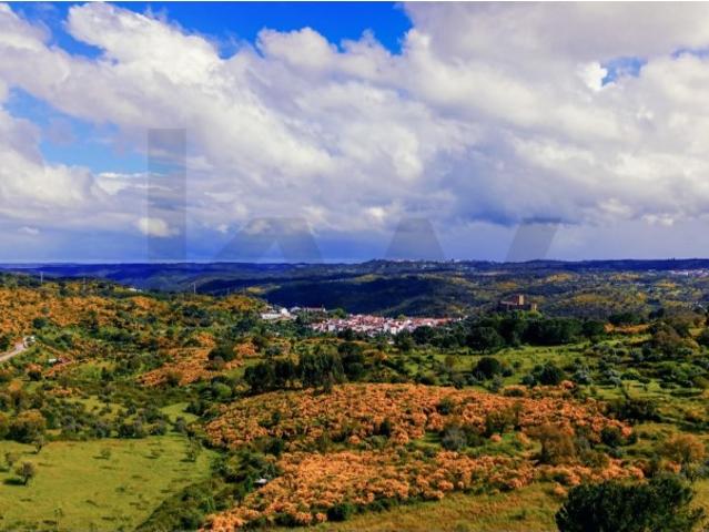 Terreno Rústico com 112.025 m² em Belver Potencial Agrícola, Florestal ou Turístico