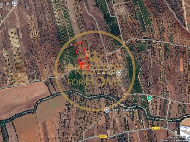 Terreno Rústico com 11.100 m² em Alfanzina – Paderne