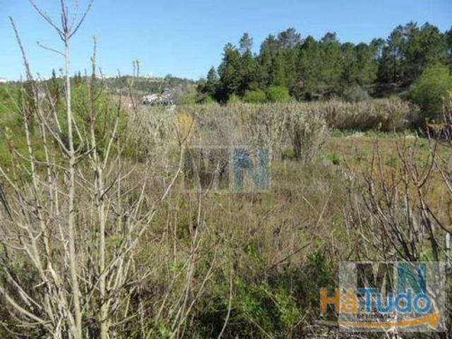 Terreno rustico com 1370 m2 Eiras | 26083282530