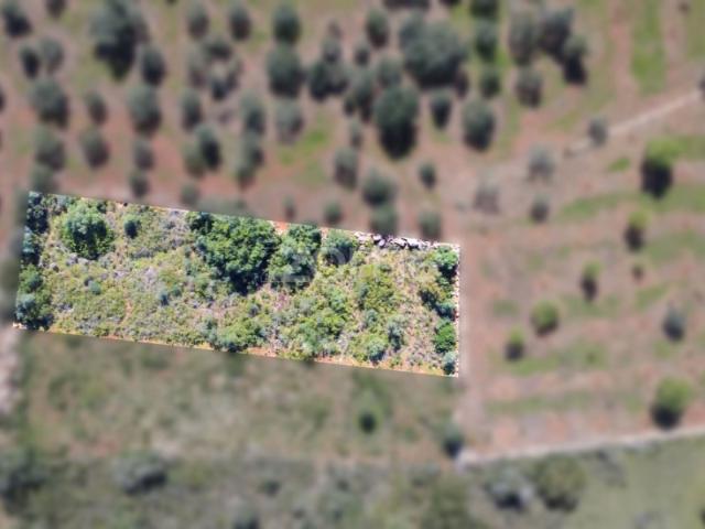 Terreno Rústico com 1390 m² na zona de Lagoão