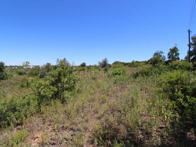 Terreno Rústico com 13.000 m² no Coração do Algarve