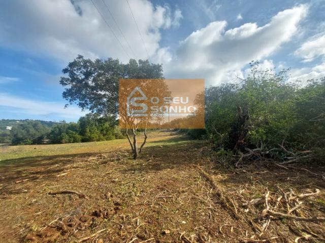 Terreno Rústico com 13.600 m²