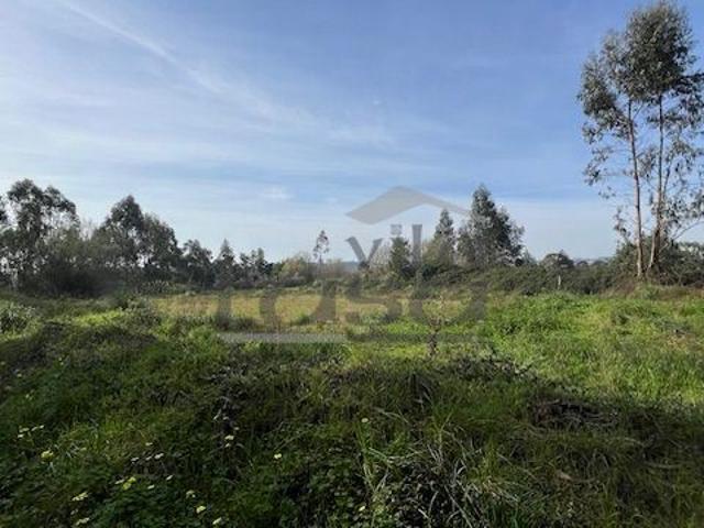 Terreno rústico com 24450m2 em Olival, Vila Nova de Gaia