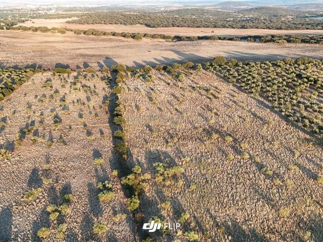 Terreno Rústico com 24.750 m² em Vila Boim, Elvas – Alentejo