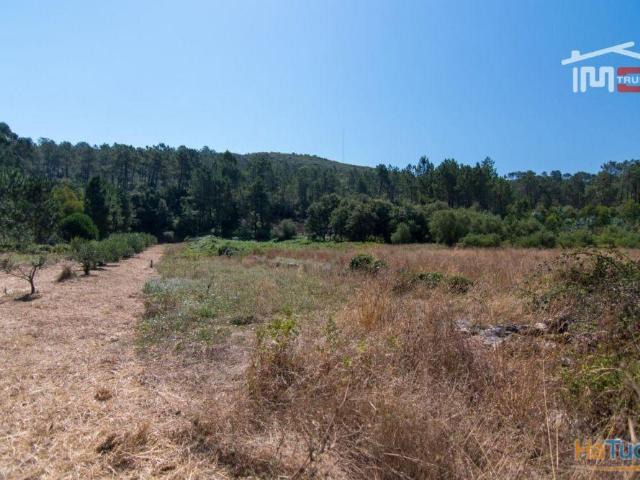 TERRENO RÚSTICO COM 2600 M2 PARA CULTIVO COM 10 OLIVEIRAS | 26083351256