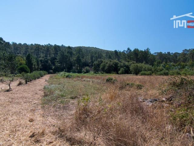 TERRENO RÚSTICO COM 2600 M2 PARA CULTIVO COM 10 OLIVEIRAS