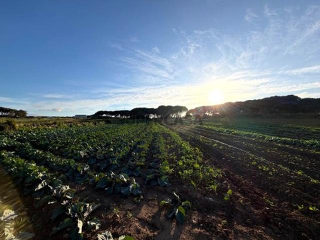 Terreno Rústico com 2960 em São João das Lampas