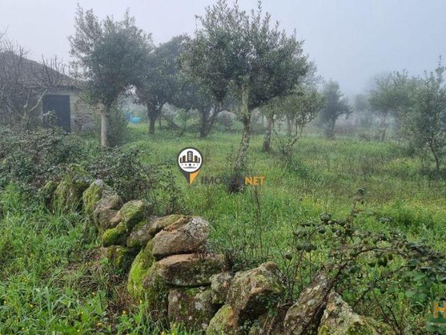 Terreno Rústico com 2000m2, Povoa de Rio Moinhos, Castelo Branco | 26073897408