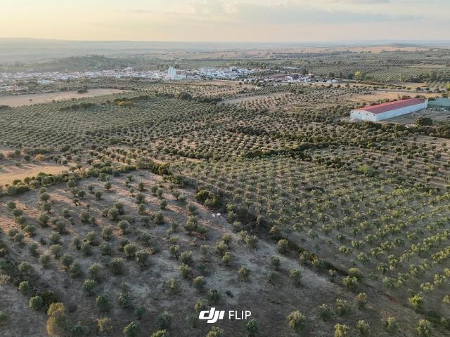Terreno Rústico com 20.250 m² em Vila Boim, Elvas – Alentejo