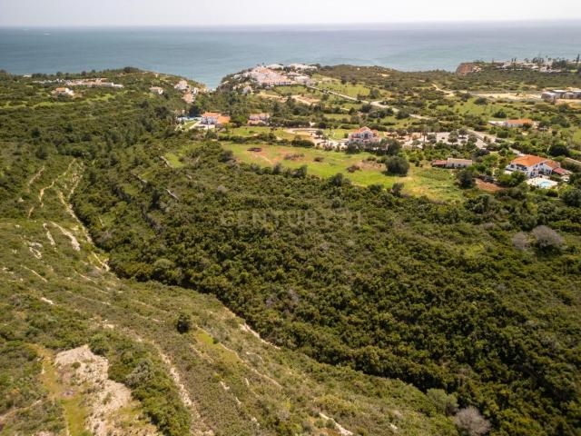 Terreno Rústico com 20.820 m² em Vale de El Rei, Lagoa, Algarve