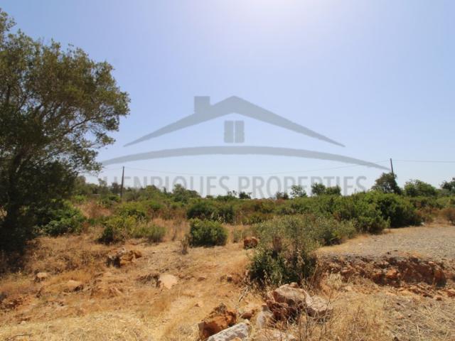 Terreno Rústico com 21.560 m² em Quelfes, Olhão