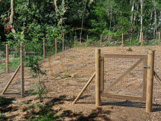 Terreno Rústico com 2.600 m² em Pedregais Ribeira do Neiva