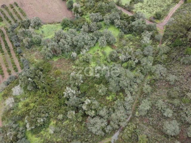Terreno Rústico com 2.600m2 em Ladeira da Cumeada, Messines