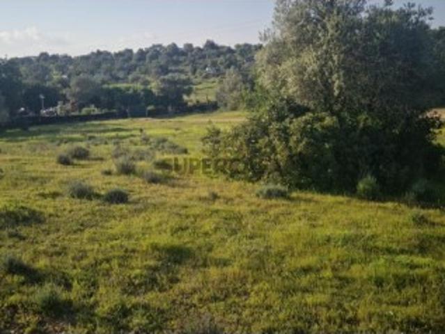 Terreno Rústico com 34500 m2 em Quelfes