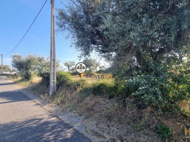 Terreno Rústico com 3713m2, Venda, Juncal do Campo | 26083897422