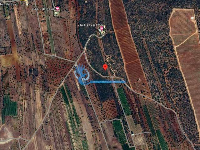 Terreno Rústico com 3960m² localizado na Cabeça Aguda Paderne
