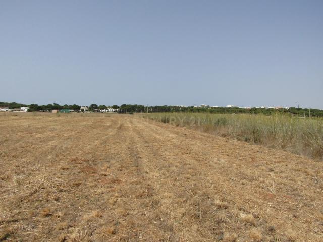 Terreno Rústico com 3040 m2, plano, situado nas Várzeas de Quarteira