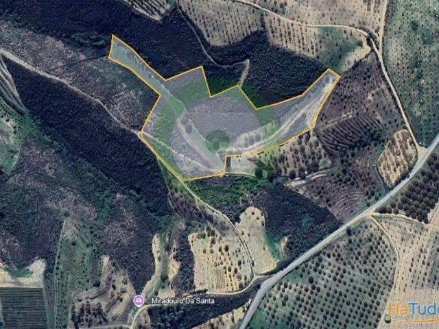 Terreno Rústico com 31.924 m² ? Castanheiros, Oliveiras e Regato | 26064010736