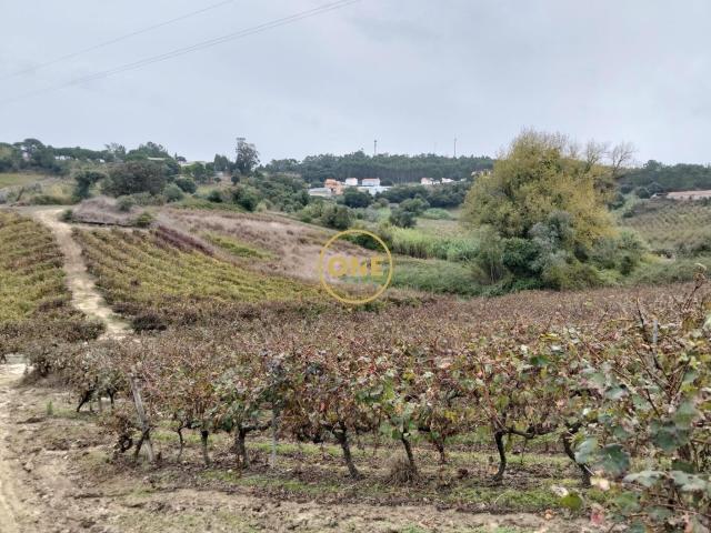 Terreno Rústico com 3312 m2 Sobral da Abelheira e Azueira