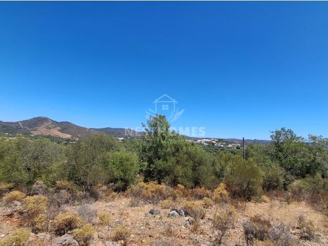 Terreno Rústico com 3,3 Hectares Perto de Salir | Vista Desafogada