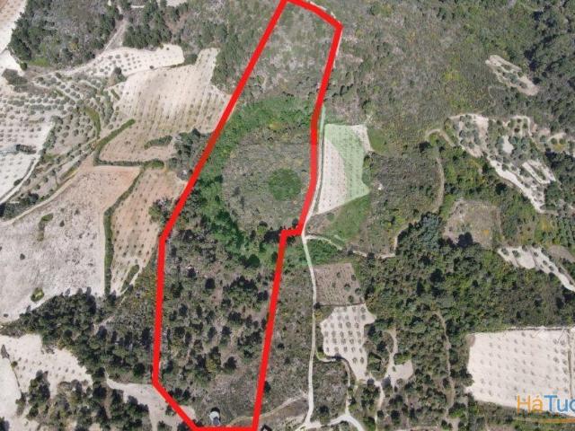 Terreno Rústico com 3,4 ha ? Outeiro, Aguieiras Mirandela | 26084076798