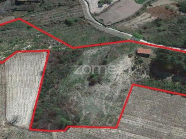 Terreno Rústico com 3.500 m² na Região Vinícola do Alto Douro
