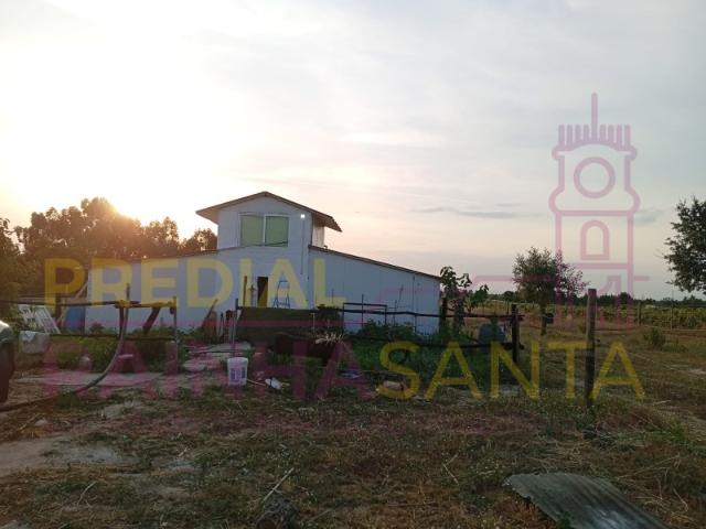 Terreno rústico com 3,5 hectares em Alpiarça, Santarém, a 1 hora de Lisboa