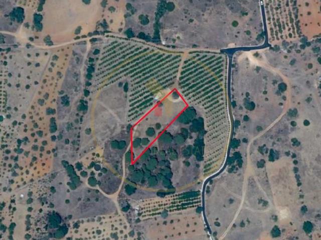 Terreno Rústico com 3,600 m2 no Porto da Pedra em Boliqueime
