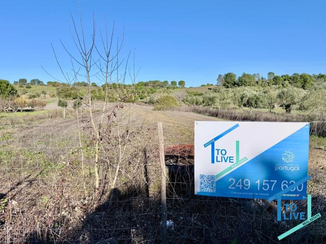 Terreno Rústico com 3.720 m2 a 10 Minutos de Tomar