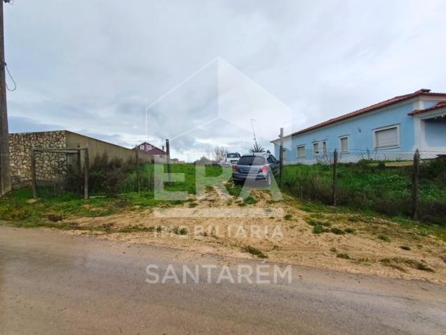 Terreno rústico com 3.840m2 situado em Alcanhões