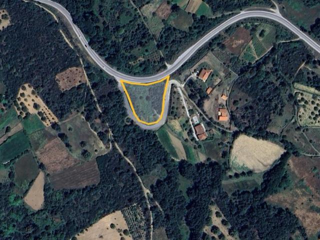 Terreno rústico com 4500 m2, à beira da estrda Nacional 213