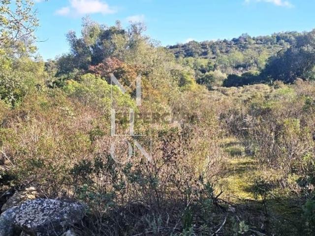 Terreno rústico com 4.000 m2 Excelente oportunidade