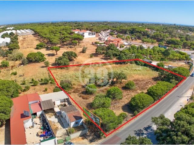Terreno Rústico com 4.232m² | Escanchinhas, Almancil