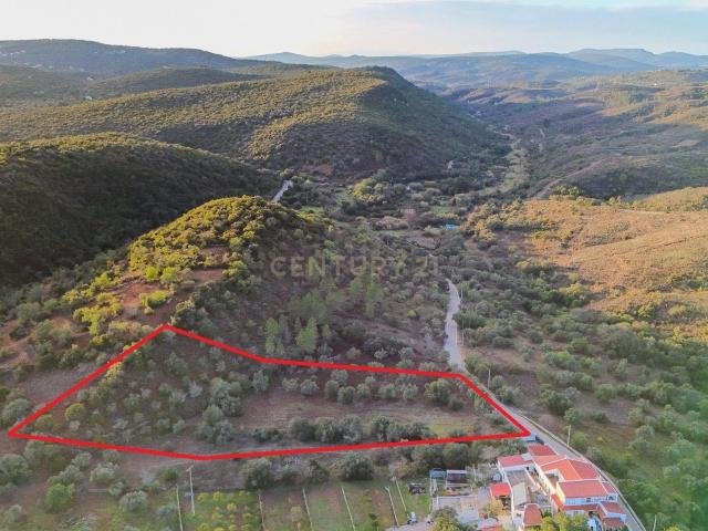 Terreno Rústico com 4.300 m² entre Querença e São Brás de Alportel, Algarve