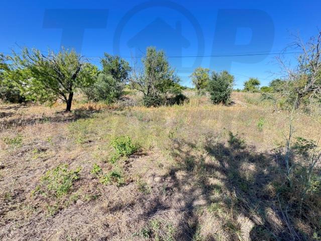 Terreno Rústico com 4.664 m² Fazendas da Serra, Loulé 82.000€