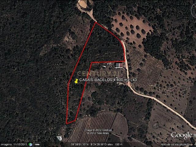 Terreno Rústico com 4.800 m² | Casais Bacelos – Tomar