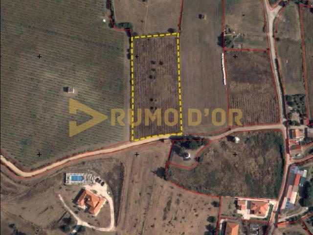 Terreno Rústico com 4.800 m² em Curvel Torres Vedras