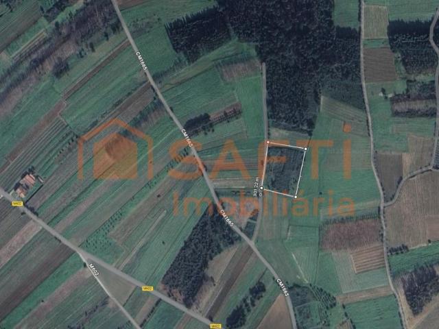 Terreno agrícola com forte potencial vitivinícola e com 5870 m2 em São Lourenço do Bairro