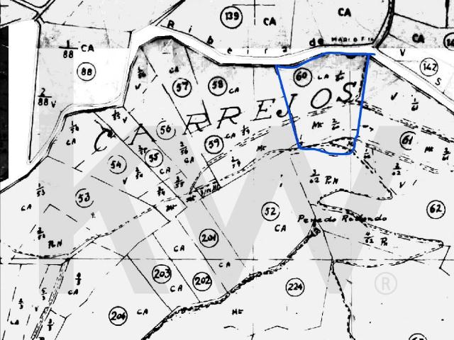 Terreno Rustico com 5.750m2 em Santo Isidoro
