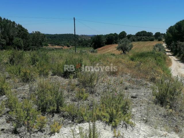 Terreno rústico com 5 hectares Cem Soldos, Tomar