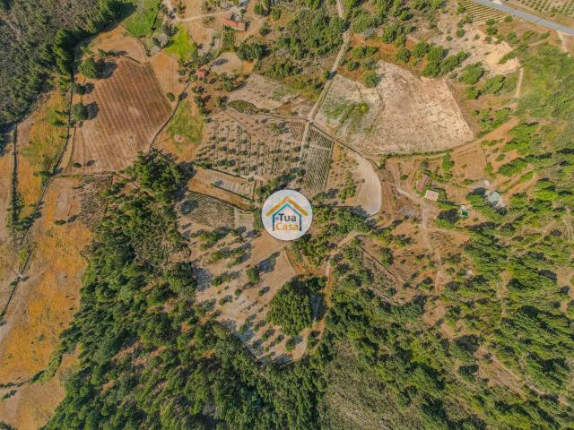 Terreno Rústico com 5 Hectares, em Sernancelhe