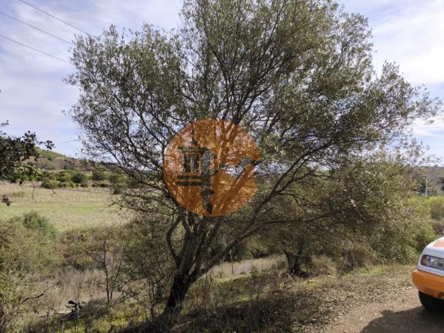 TERRENO RUSTICO COM 680 M2 COM ARVORES PLANO JUNQUEIRA CASTRO MARIM ALGARVE